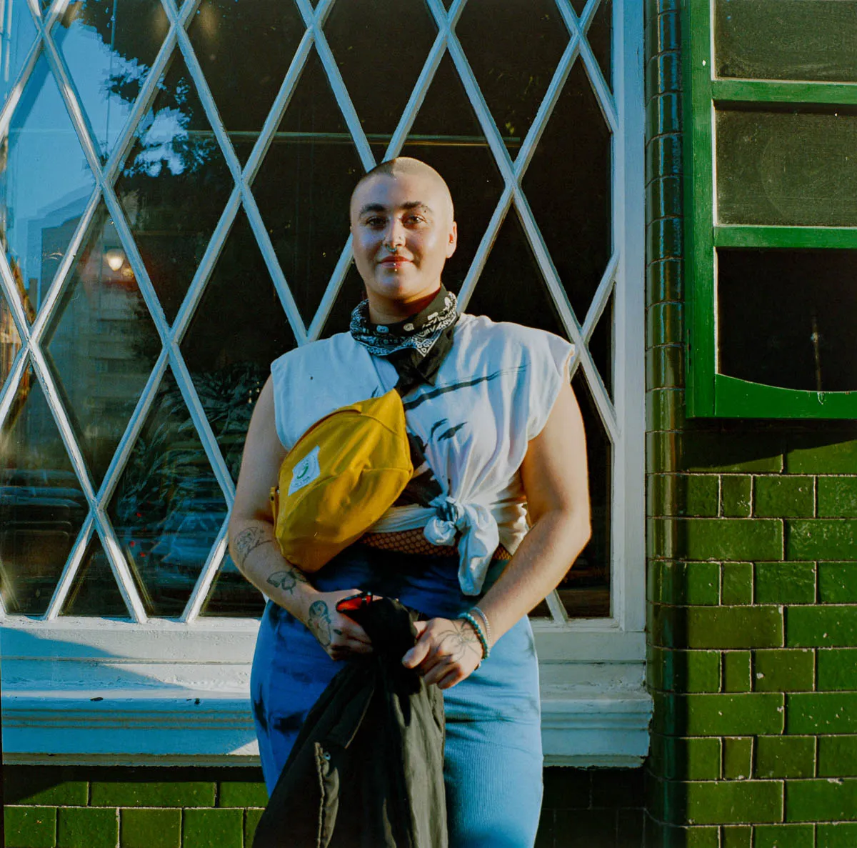 Chubby Cat – Discovering and Being Discovered