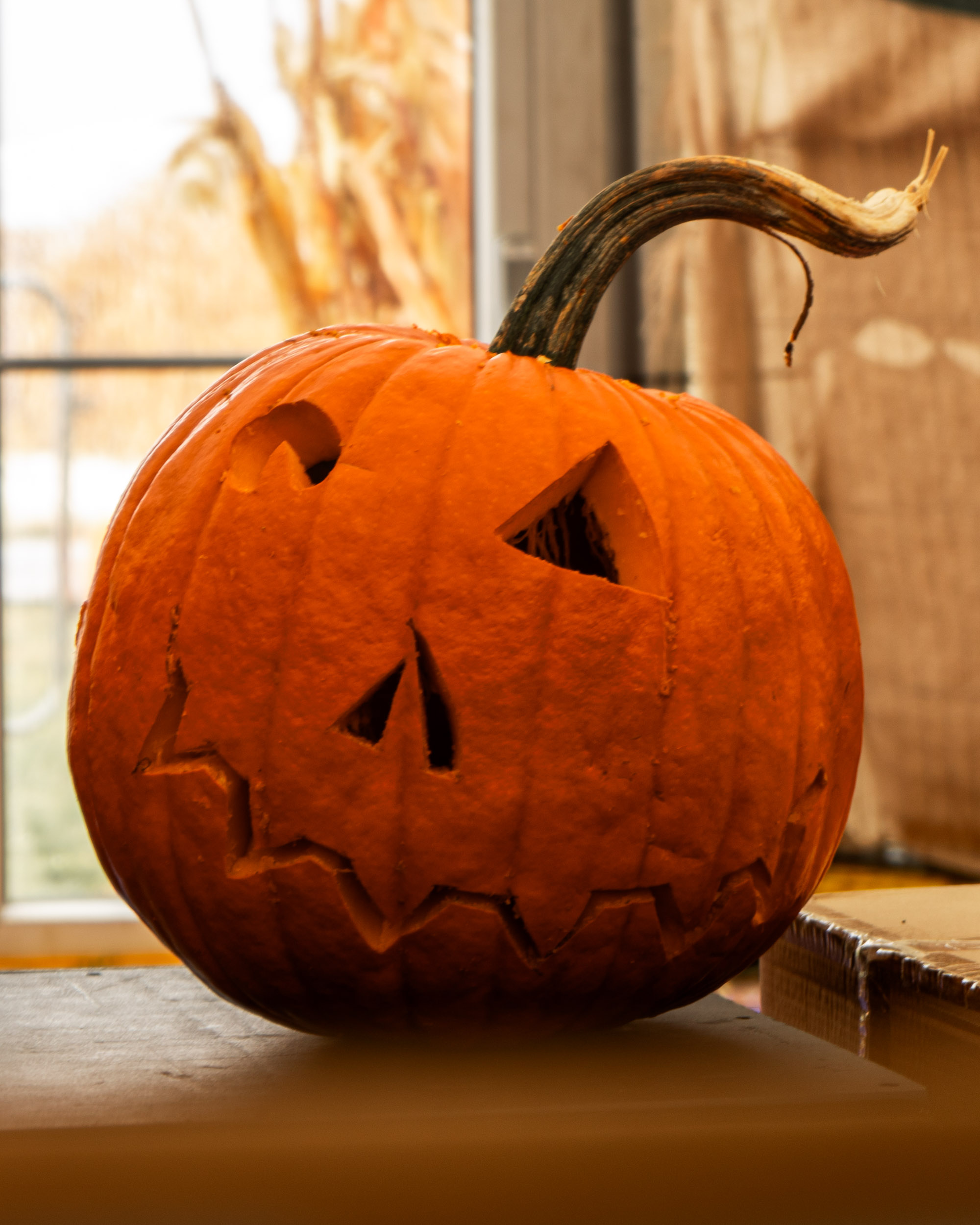 Tim's giant carved Halloween pumpkin